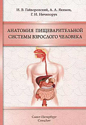 Анатомия пищеварительной системы взрослого человека 